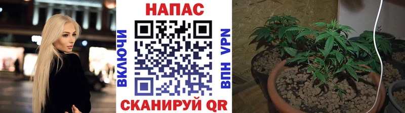 Наркошоп купить МАРИХУАНА  Мефедрон  APVP  Псилоцибиновые грибы  ГАШ  Инта