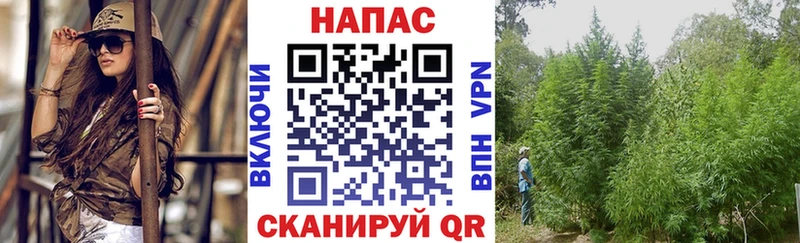 Конопля SATIVA & INDICA  Купить закладки  Инта 